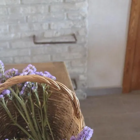 빌라 Masia Rural L'hort De Maso *