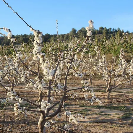 Masia Rural L'hort De Maso 빌라
