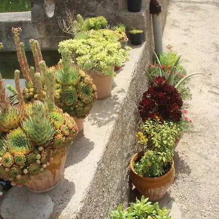 빌라 Masia Rural L'hort De Maso *